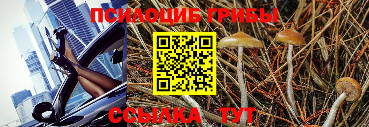 Псилоцибиновые грибы мухоморы Воскресенск